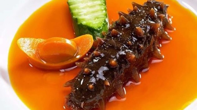 Gamat Sang “Superfood” Punya Sejuta Manfaat. Bisa Untuk Sendi Lutut!